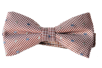 Vlinderdassen Nieuw