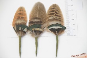 © VintageHatter.com | a-feather-1 Feathers brown in green black base about 6 centimeters Feathers brown in green black base about 6 centimeters