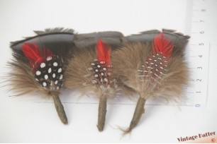 Feathers brown with red stripe in black base with white dots about 6 centimeters